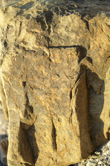 The ridge surface of the rock. Texture.