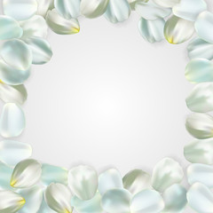 White petals isolated on pale background. For greeting card, wallpaper, flyers, posters or wedding invitation background party design. Vector illustration.
