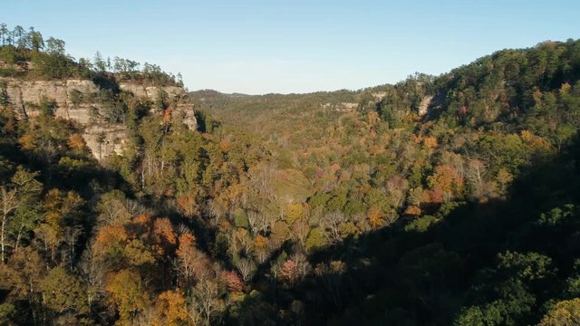 Aerial, woods in Slade, Kentucky