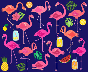 Vector Collection of Flamingos, Tropical Leaves, Fruit and Summery Drinks