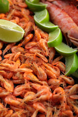 Shrimps.Cooked shrimps. .A lot of little shrimps with lime