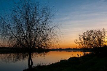 Sunset over the river and trees