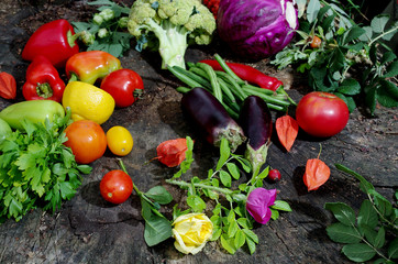 Appetizing vegetables on a natural background. Cabbage, eggplants, tomatoes, peppers, asparagus, parsley.