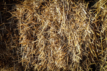 Abstract background of a bunch of straw
