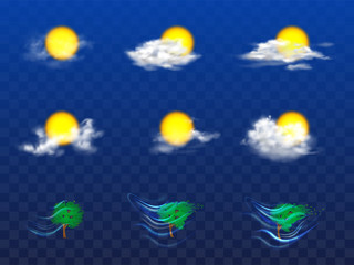 Vector 3d realistic set with weather forecast elements - sun in white clouds, grey mist and other meteorology icons. Tree with foliage in the wind isolated on transparent background. Metcast concept