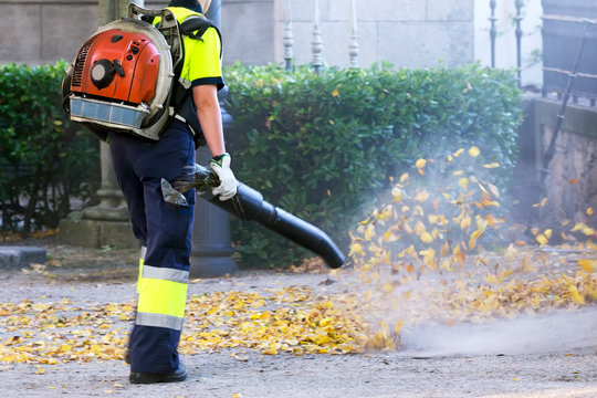 gardener with blower backpack working in city park , blowing  leafs
