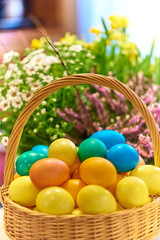 Colorful Easter Eggs in basket with spring flowers, on blurred background