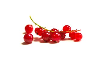 Grappe de groseilles