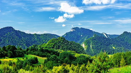 Summer Idyllic mountain landscape - Pieniny National Park in Poland in  Carpathian Mountains on a blue sky background