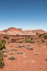 Off Trail View at Sunset Trail Point