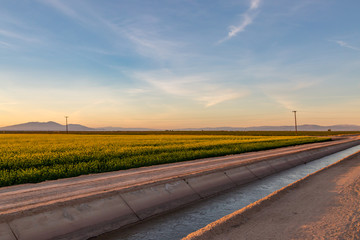 Fototapeta na wymiar Evening light over Californian farmland