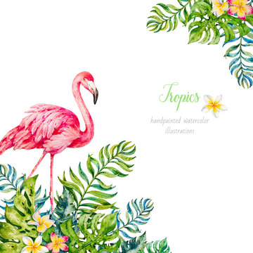 Flamingo in tropical leaves. Watercolor illustrations. Paradis © Katy's Dreams