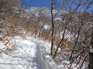 Paisaje Montanas con la nieve en dia excellente y cielo azul. Monte Olympus en Utah Salt Lake City de Estados Unidos 