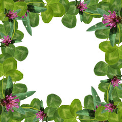 Beautiful floral background of lilac clover 