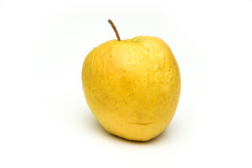 A picture of an ordinary green Golden Delicious apple, without modifications The apple is old, dry an not attractive. It is wrinkled and puckered.