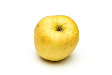 A picture of an ordinary green Golden Delicious apple, without modifications The apple is old, dry an not attractive. It is wrinkled and puckered.