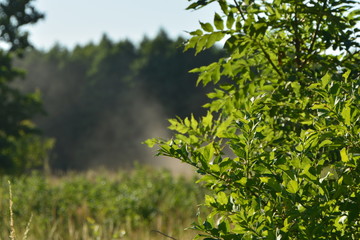 Harvest on the farm