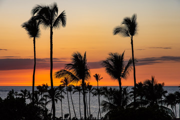 Fototapeta na wymiar A tropical sunset with orange sky and clouds. The ocean is in the background, and the silhouetttes of palm trees in front. There is a row of chairs and the silhouette of a person looking at the ocean.