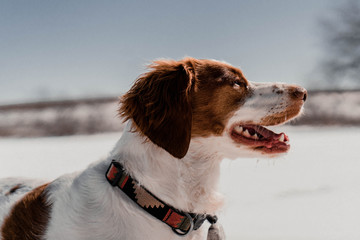 Happy in the Snow