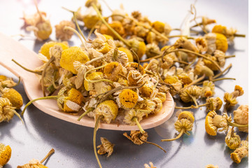 Dried chamomile flowers in a wooden spoon on a gray plate.
