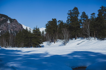 winter landscape with river and trees