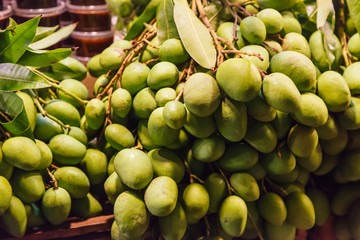 fresh wild natural tropical Asian green raw unripe mangoes juicy stone fruit (drupe) from garden on farmer market stall. Seasonal Food Nutrition, Summer mango fruit on street food market booth concept