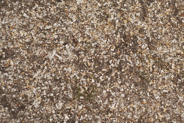 Wood sawdust on the ground as an abstract background