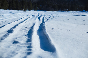 tracks in snow