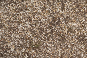 Wood sawdust on the ground as an abstract background