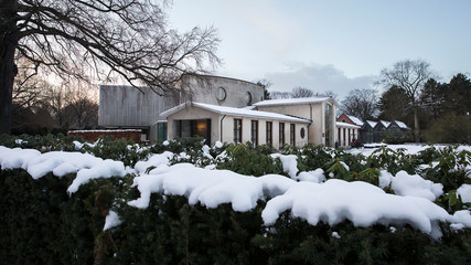 Fototapeta na wymiar buildings, snow-covered alley and trees with bushes, amsterdam, the netherlands