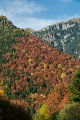 jesień w górach