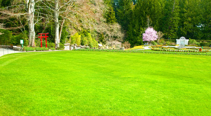 Lush Green Lawn Garden in the Spring with Lush colors, Victoria, Canada 