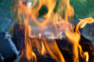 Fototapeta premium Firewood in fire flames. Background.