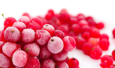 Red currant berries.Frosted.