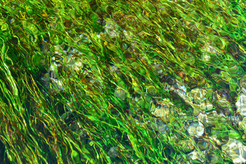 spring water and vegetation texture