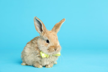 Adorable furry Easter bunny with cute bow tie on color background, space for text