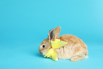 Adorable furry Easter bunny with cute bow tie on color background, space for text