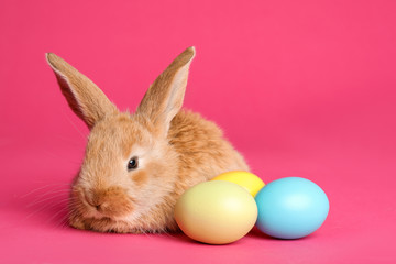 Adorable furry Easter bunny and dyed eggs on color background, space for text