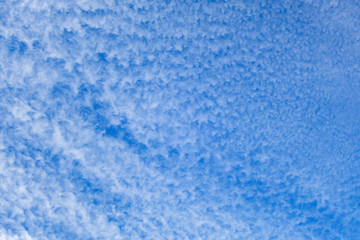 Fototapeta na wymiar Blue sky cloud in winter for background texture