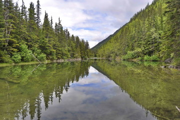 Fototapeta na wymiar A Lake in Alaskan Rainforest
