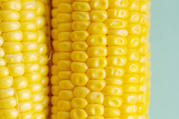 Fresh organic corn on the cob macro view