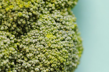 Texture of broccoli close up for background