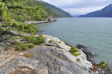Coast of Alaska near Skagway