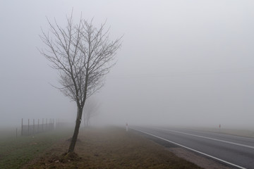 Fototapeta na wymiar Asphalt road in a big fog. Low visibility on a busy road in Central Europe.