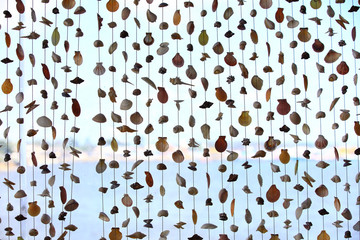 Variety seashells hanging for Curtain shells and mobile decoration, home interior decoration by seashell curtain