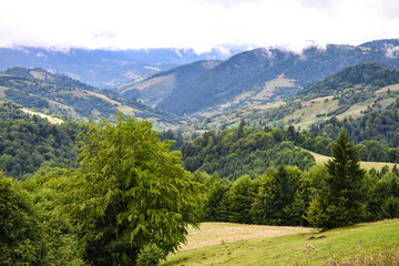 Fototapeta na wymiar PHOTO of the mountain landscape