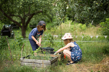 Children planting vegetables in the garden