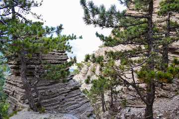 PHOTO of the mountain landscape