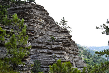 PHOTO of the mountain landscape