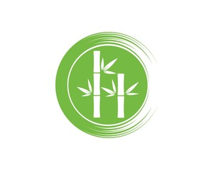 Bamboo with green leaf vector icon